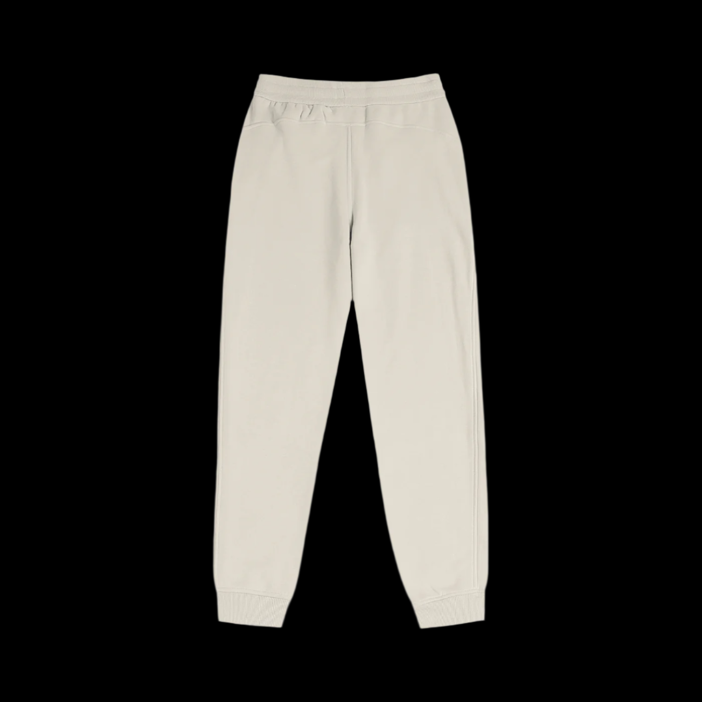 3T Women's Joggers